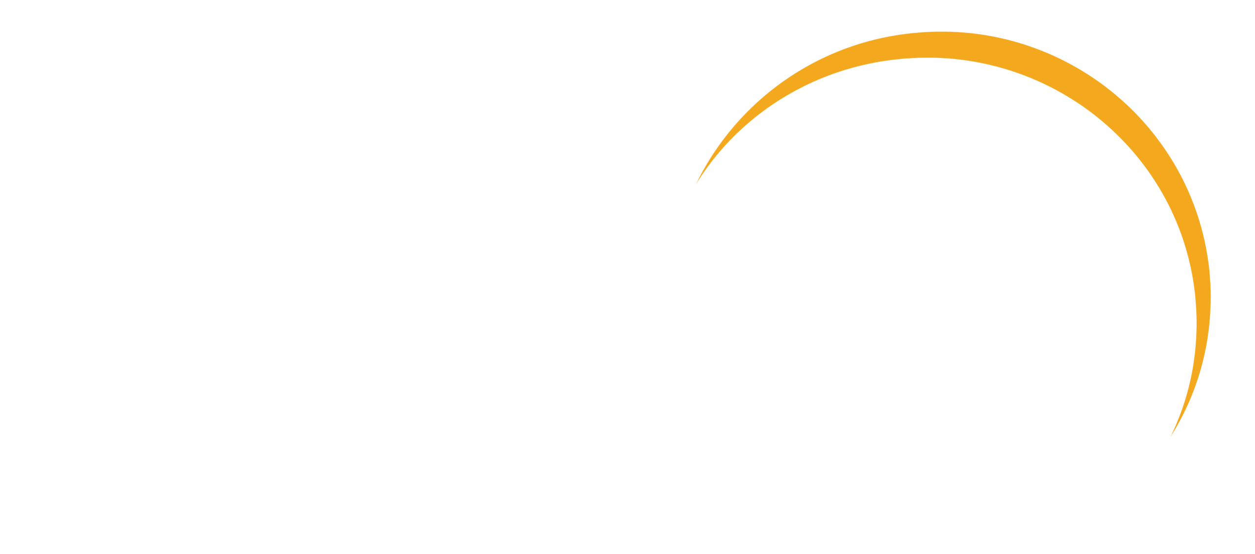 Didion_logo_white with yellow sun